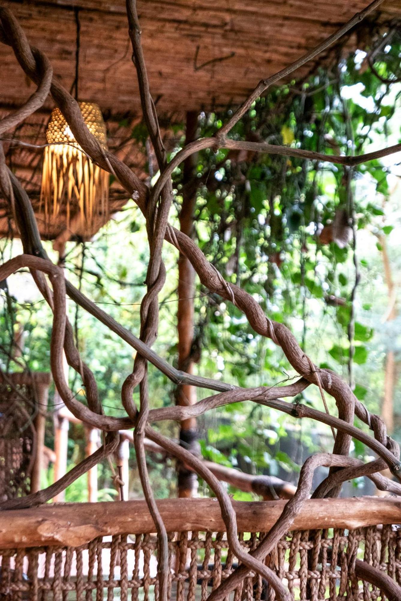 Akagera Transit Lodge Εξωτερικό φωτογραφία