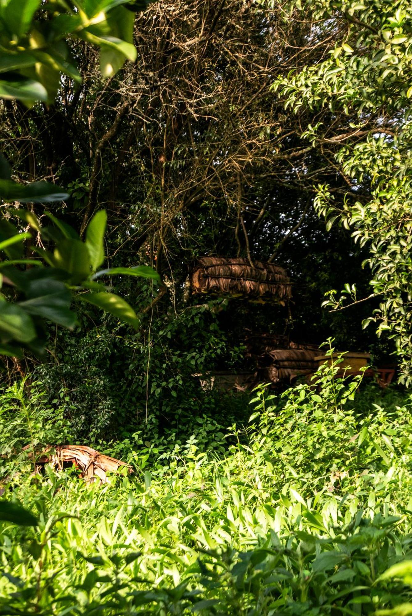 Akagera Transit Lodge Εξωτερικό φωτογραφία